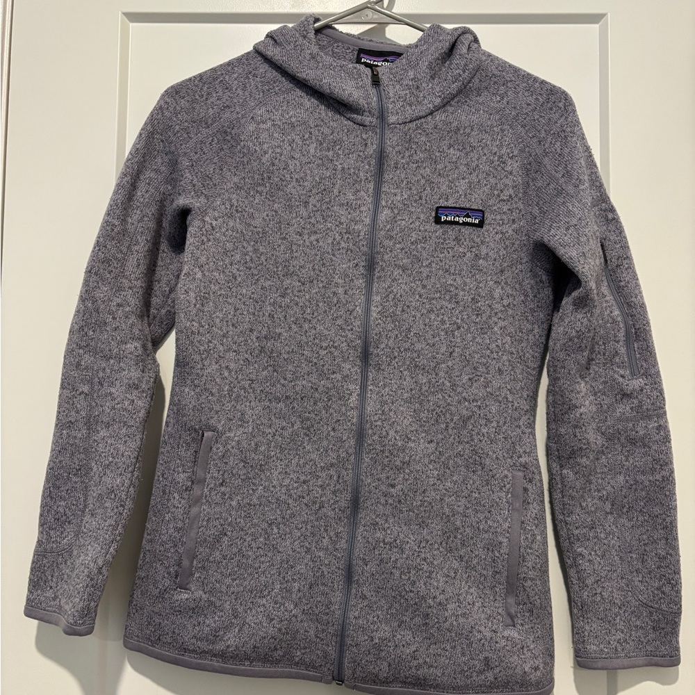 Patagonia Better Sweater Fleece Jacket with hood